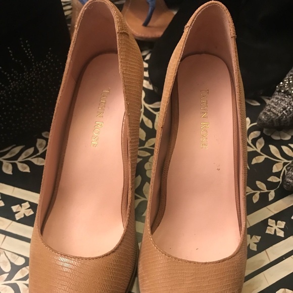 TARYN ROSE - Picture 3 of 8